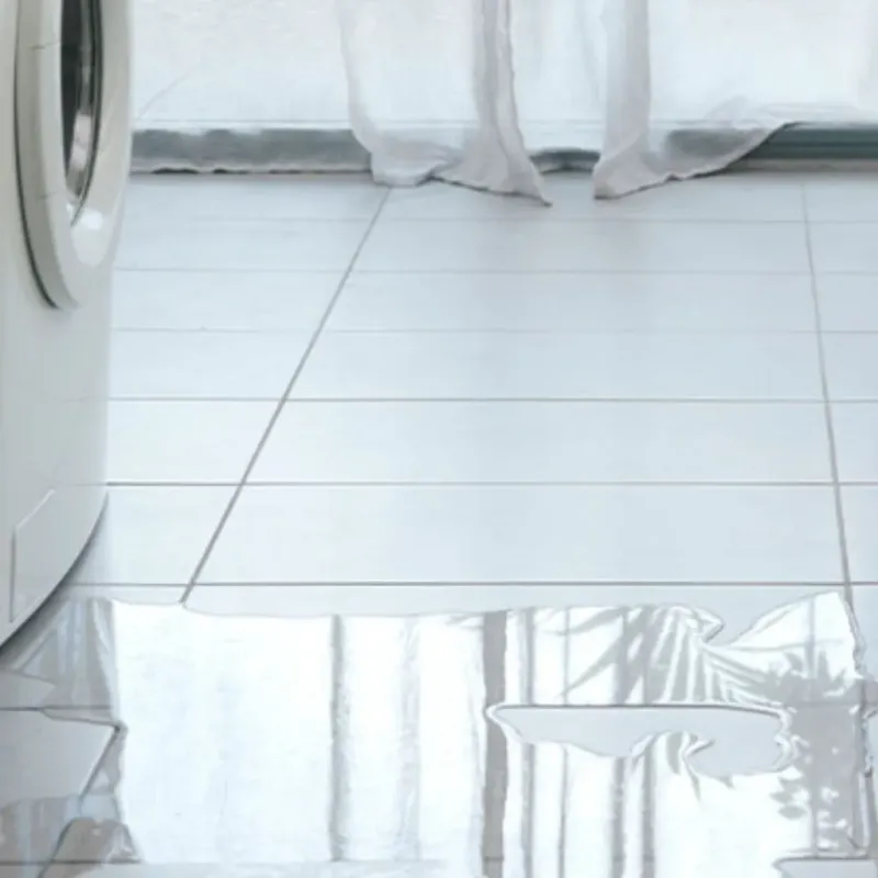 Appliance Leak Cleanup in Havana, FL